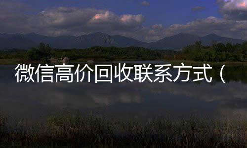 微信高价回收联系方24小时全天回收vx式（微信高价回收联系方式怎么写）